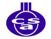 csa3.gif