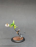PXL_20241117_214944264~2