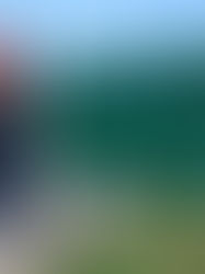 Tragédia na RSC-377: adolescente de 17 anos morre após atropelamento