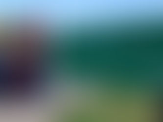 Tragédia na RSC-377: adolescente de 17 anos morre após atropelamento