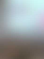 “O estudo era um sonho”: idosa de 73 anos defende TCC e conquista nota máxima na Furg