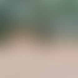 Temporais atingem norte de Santa Catarina e provocam alagamentos