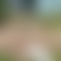 Corpo de mulher desaparecida é encontrado dentro de fossa em Balneário Pinhal