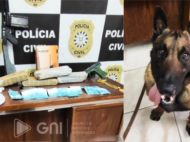 Polícia Civil apreende drogas, simulacros e notas falsas em Jaguari