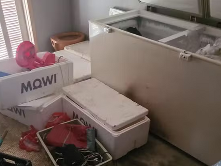 Jovem é preso suspeito de esquartejar, carbonizar e esconder corpo do padrasto em freezer no Litoral do RS