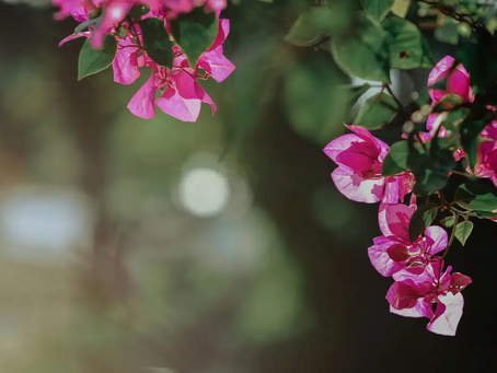Primavera será de tempo mais seco no Rio Grande do Sul