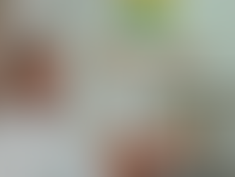 Federarroz prevê redução na área semeada