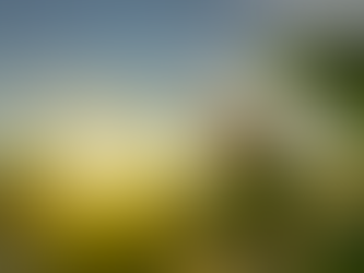 Aberto prazo para produtor entregar Declaração do Imposto sobre Propriedade Territorial Rural