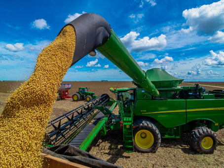 Safra 2024/25 da soja tem expectativa de recorde no Rio Grande do Sul