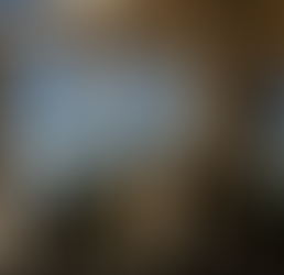 STF determina execução das penas de Bolsonaro e mais réus do Núcleo 1