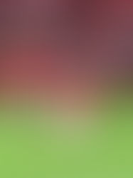 De virada, Inter vence o Novo Hamburgo em sua estreia no Gauchão