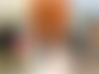 Ofensiva da Polícia Civil em São Francisco de Assis finaliza com nove presos