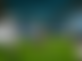 Grêmio empata sem gols com o Ceará e sai vaiado da Arena