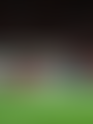 Inter perde para o Palmeiras e entra na zona do rebaixamento