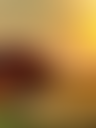 Verão começa neste domingo (21/12)