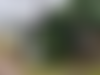 Motorista morre atropelado pelo próprio ônibus em Lajeado