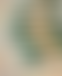 Mega-Sena acumula e prêmio vai a R$ 35 milhões