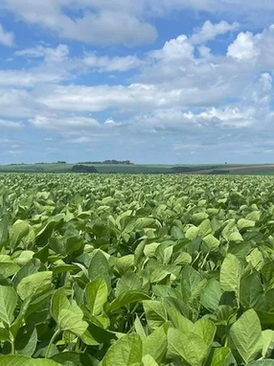 La Niña promete menos chuvas no RS em novembro e dezembro