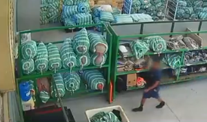 Imagem: Reprodução de Vídeo