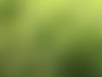 Safra 2024/2025: Rio Grande do Sul deve ter a maior produção de grãos da sua história