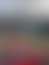 Prefeitura de Nova Esperança do Sul esclarece que não é alvo de operação do Ministério Público