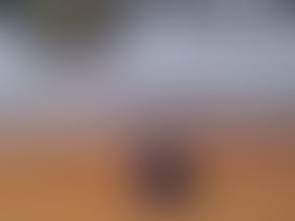 Homem é preso em flagrante após furtar celular de residência para trocar por drogas em Santiago