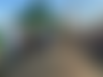 Colheita do trigo no Rio Grande do Sul deve passar de 4 milhões de toneladas