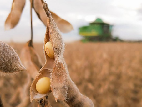 Farsul emite nota à sociedade sobre falta de ações do governo federal