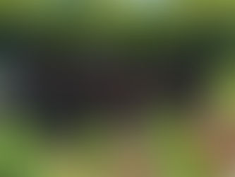 Ônibus com estudantes da UFSM tomba em ribanceira e deixa 7 mortos