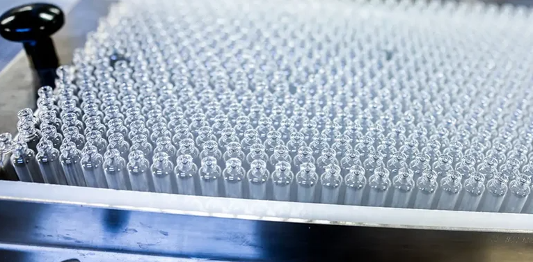 Foto: Ricardo Stuckert