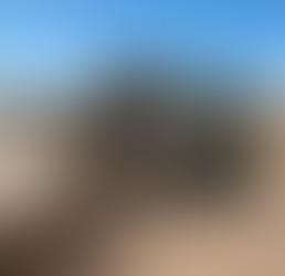 RS se aproxima do fim da semeadura do arroz com mais de 92% da área já plantada