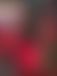 Mulher seminua com mãos e pés amarrados é encontrada morta dentro de lixeira em Porto Alegre