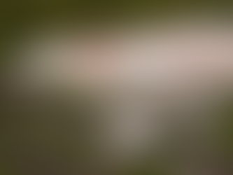 Maior fabricante de tratores do mundo anuncia fábrica no RS com investimento milionário