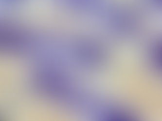 Aposta de Itaqui ganha mais de 1,9 milhão na Quina