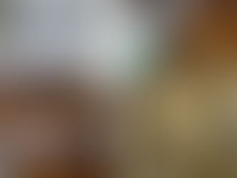 Brigada Militar de Jaguari prende dois homens por porte ilegal de arma de fogo e crimes ambientais