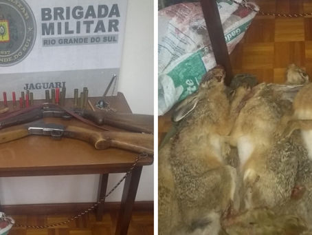 Brigada Militar de Jaguari prende dois homens por porte ilegal de arma de fogo e crimes ambientais