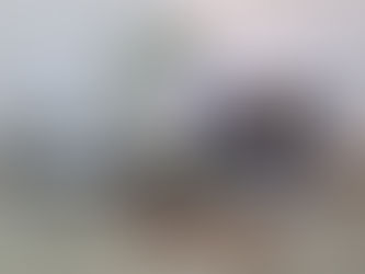 Polícia encontra arma e pés de maconha em ação na zona rural de Itacurubi