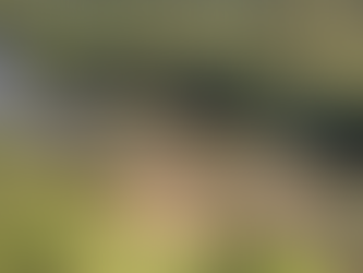 Balneário de Ernesto Alves segue impróprio para banho aponta Fepam