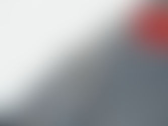 China anuncia cotas e tarifa de 55% para importação de carne bovina