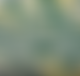 Mega-Sena pode pagar R$ 3,5 milhões nesta terça-feira