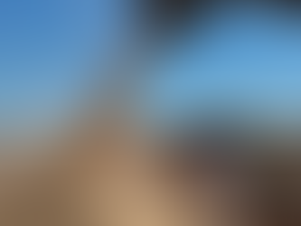 Após prejuízos causados pela estiagem, próxima safra de soja deve trazer produtividade maior