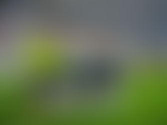 Grêmio vence Ponte Preta na Arena lotada e assume vice-liderança na Série B