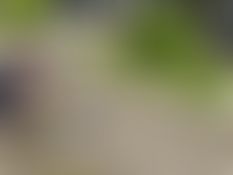 Mulher se acorrenta na frente de hospital enquanto aguarda a oito meses por cirurgia em Farroupilha