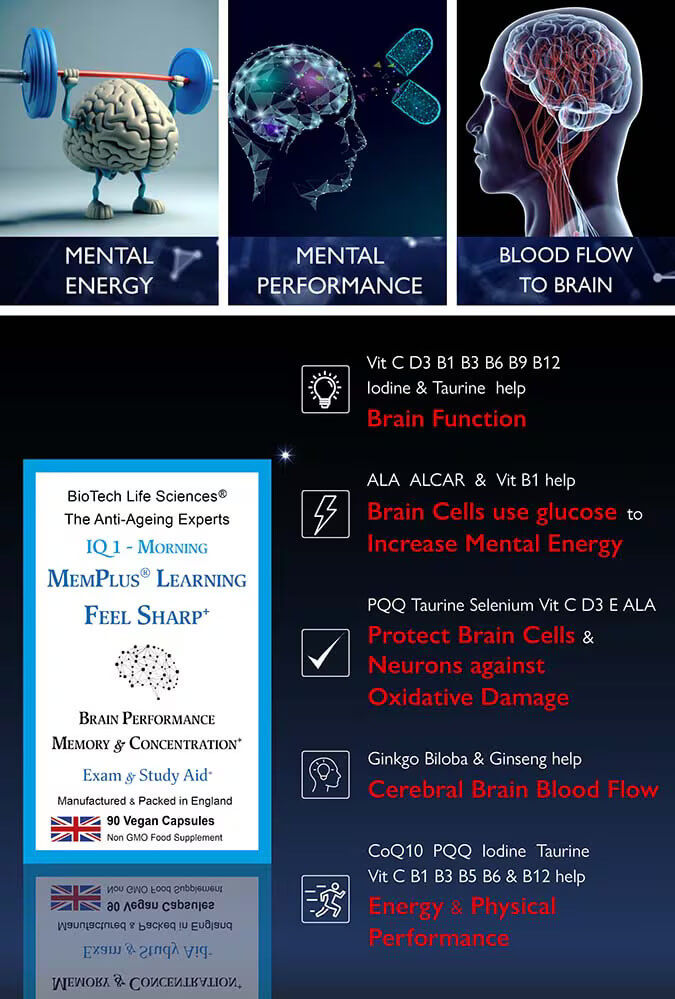 Miniatura: supplements-for-memory