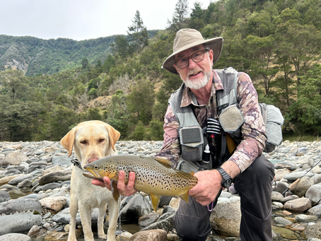 The Guide Diaries: Tony Entwistle