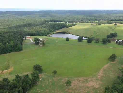Now Offering Dairy Tours at Wilson Ranch!