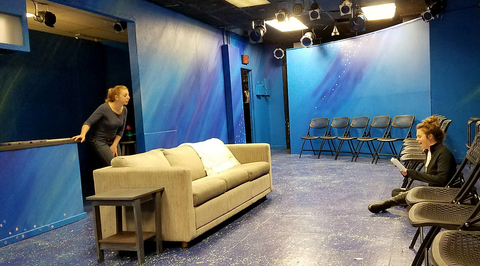 Turtle (rehearsal)