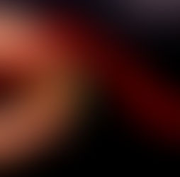 Como declarar IR2020 se você é holder de bitcoins ou outras criptomoedas