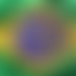 Marco Legal das Criptomoedas