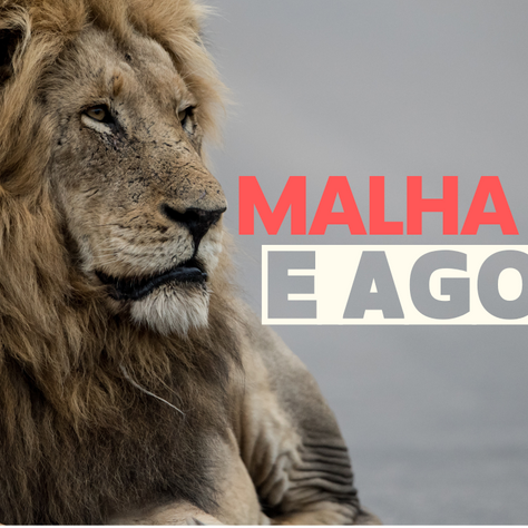 Declaração de Imposto de Renda NÃO PROCESSOU e acusa PENDÊNCIAS. E agora?